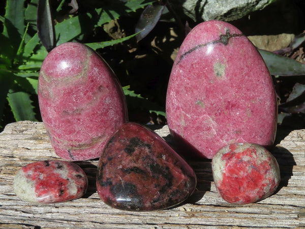 Polished Rhodonite Free Forms x 5 From Southern Africa - TopRock