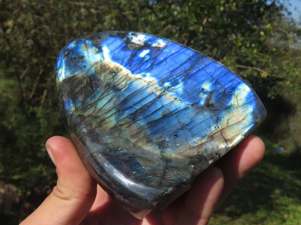 Polished Labradorite Standing Free Form With Full Face Blue Flash x 1 From Tulear, Madagascar - TopRock