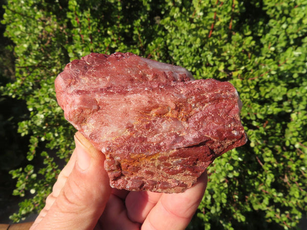 Natural Hematoid Quartz Crystals  x 6 From Zimbabwe - TopRock
