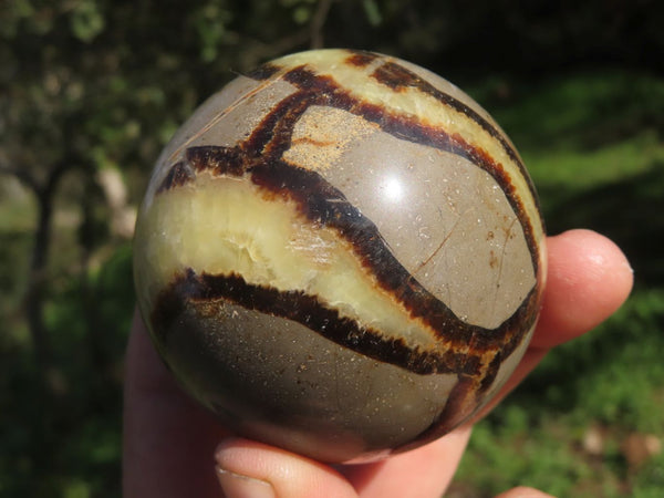 Polished Stunning Septerye (Aragonite & Calcite) Spheres x 5 From Madagascar - TopRock