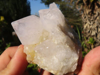 Natural White Cactus Flower Spirit Quartz Specimens x 6 From Boekenhouthoek, South Africa - Toprock Gemstones and Minerals