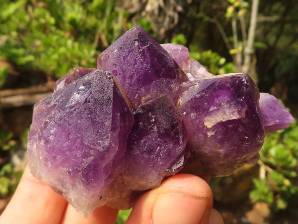Natural Lovely Mixed Selection Of Amethyst Specimens  x 12 From Zambia - Toprock Gemstones and Minerals 
