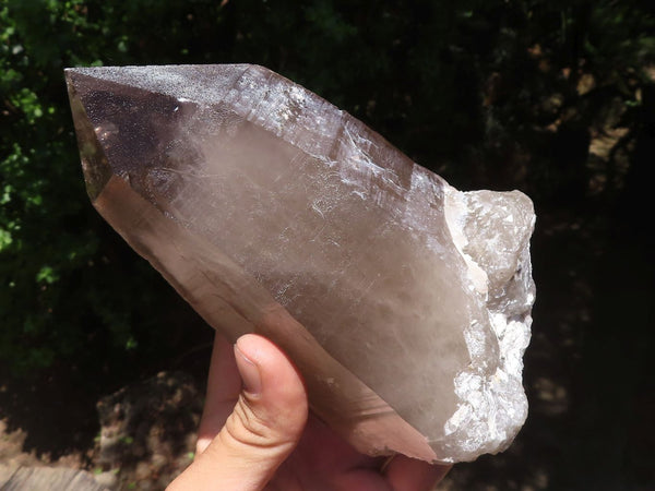 Natural Large Morion Smokey Quartz Crystals x 2 From Melanje, Malawi - TopRock