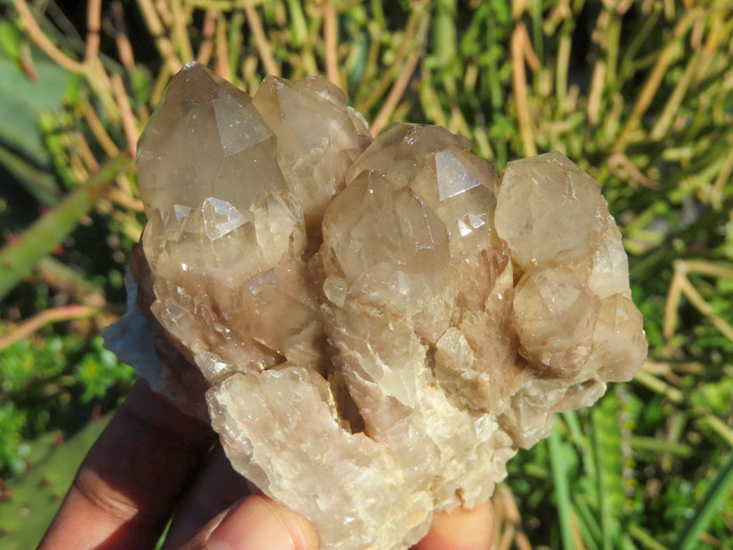 Natural Smokey Phantom Quartz Clusters x 6 From Luena, Congo - TopRock