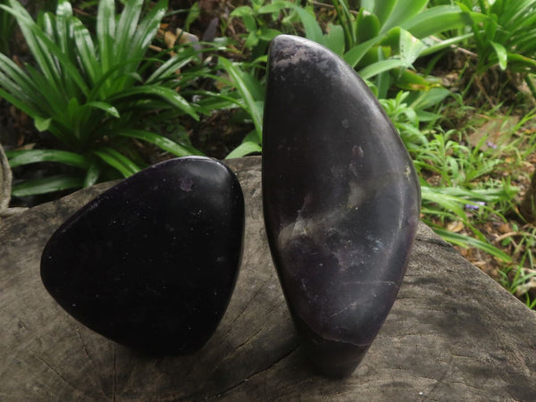 Polished Gem Lithium Mica (Lepidolite) Standing Free Forms  x 2 From Zimbabwe - TopRock