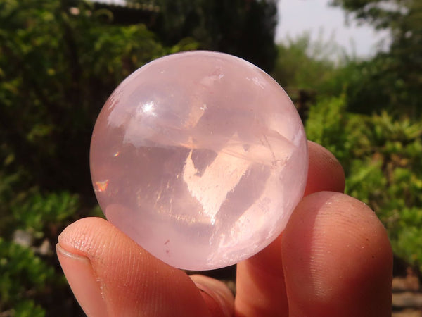 Polished Rare Star Rose Quartz Spheres  x 6 From Ambatondrazaka, Madagascar - Toprock Gemstones and Minerals 