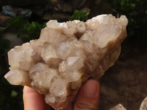 Natural White Phantom Quartz Clusters  x 2 From Luena, Congo - Toprock Gemstones and Minerals 