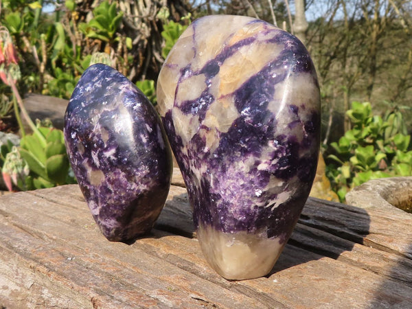 Polished Silver Leaf Lepidolite Standing Free Forms  x 2 From Zimbabwe