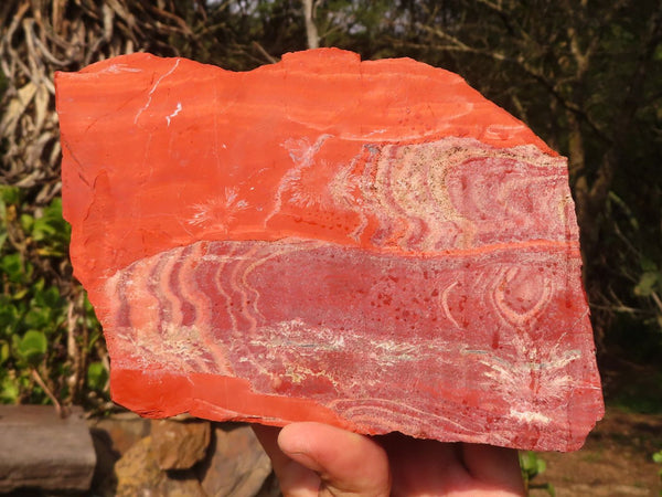 Natural Old School Red Jasper Slabs  x 3 From Southern Africa - Toprock Gemstones and Minerals 