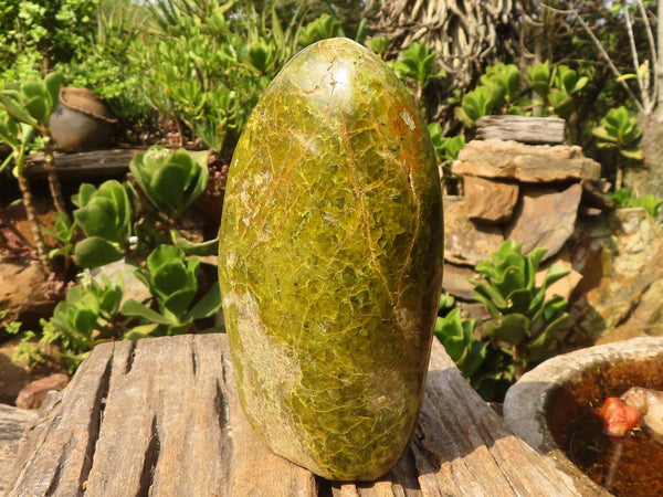 Polished Large Green Opal Standing Free Form x 1 From Madagascar - Toprock Gemstones and Minerals 