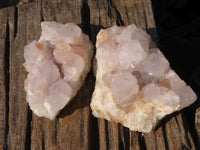 Natural White Cactus Flower Spirit Quartz Specimens  x 2 From Boekenhouthoek, South Africa - Toprock Gemstones and Minerals