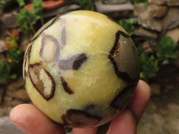 Polished Septerye (Calcite & Aragonite) Spheres  x 6 From Mahajanga, Madagascar - TopRock