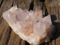 Natural White Cactus Flower Spirit Quartz Specimens  x 2 From Boekenhouthoek, South Africa - Toprock Gemstones and Minerals