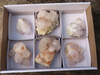 Natural White Spirit Cactus Quartz Clusters  x 6 From Boekenhouthoek, South Africa - Toprock Gemstones and Minerals