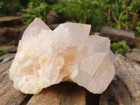 Natural White Spirit Cactus Quartz Clusters  x 6 From Boekenhouthoek, South Africa - Toprock Gemstones and Minerals