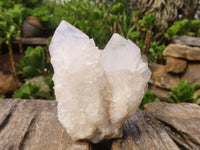 Natural White Spirit Cactus Quartz Clusters  x 6 From Boekenhouthoek, South Africa - Toprock Gemstones and Minerals