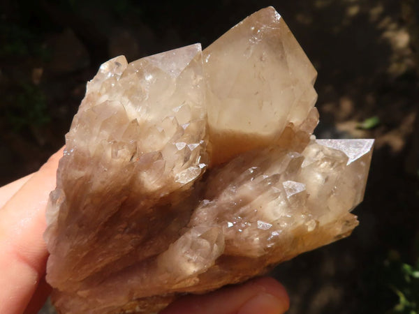 Natural Smokey White Phantom Quartz Clusters  x 3 From Luena, Congo - Toprock Gemstones and Minerals 