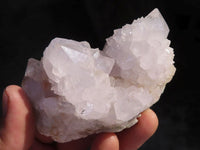 Natural White Cactus Flower Spirit Quartz Specimens  x 6 From Boekenhouthoek, South Africa - Toprock Gemstones and Minerals
