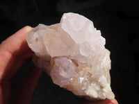 Natural White Cactus Flower Spirit Quartz Specimens  x 6 From Boekenhouthoek, South Africa - Toprock Gemstones and Minerals