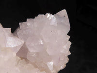 Natural White Cactus Flower Spirit Quartz Specimens  x 6 From Boekenhouthoek, South Africa - Toprock Gemstones and Minerals
