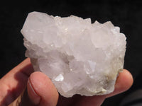Natural White Cactus Flower Spirit Quartz Specimens  x 6 From Boekenhouthoek, South Africa - Toprock Gemstones and Minerals