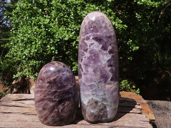 Polished Smokey Dream Amethyst Standing Free Forms  x 2 From Madagascar - Toprock Gemstones and Minerals 