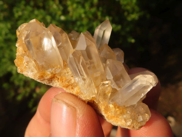 Natural Small Mixed Quartz Clusters  x 35 From Madagascar - Toprock Gemstones and Minerals 