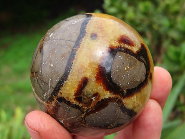 Polished Septerye  Spheres x 6 From Madagascar - TopRock