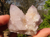Natural Pale Lilac Spirit Quartz Clusters x 12 From Boekenhouthoek, South Africa - Toprock Gemstones and Minerals