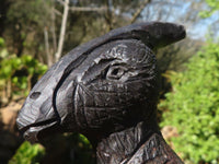 Polished Soapstone Dinosaur Carving  x 1 From Zimbabwe - Toprock Gemstones and Minerals