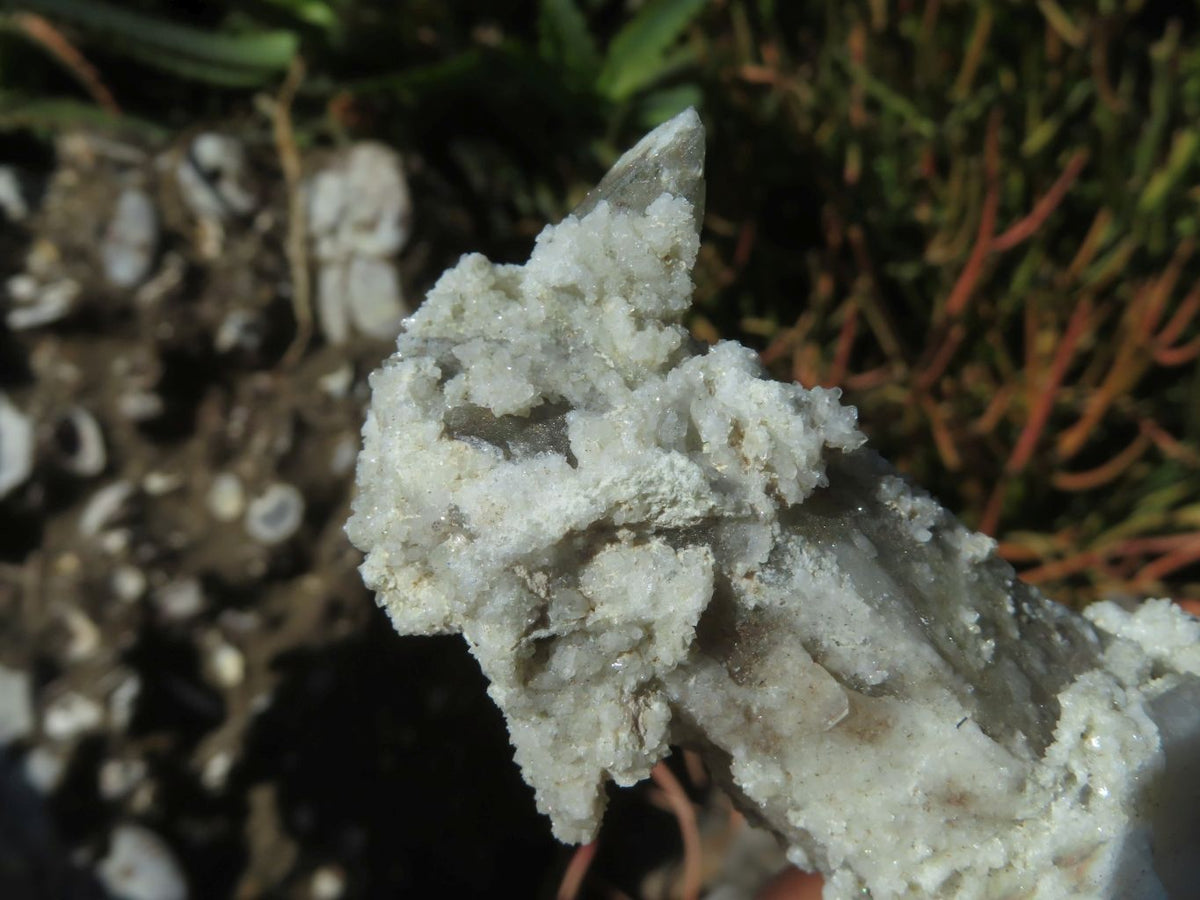 Natural Drusy Coated Unique Spirit Quartz In Cactus Flower & Fairy Finger Drusy Formations x 14 From Boekenhouthoek, South Africa - TopRock