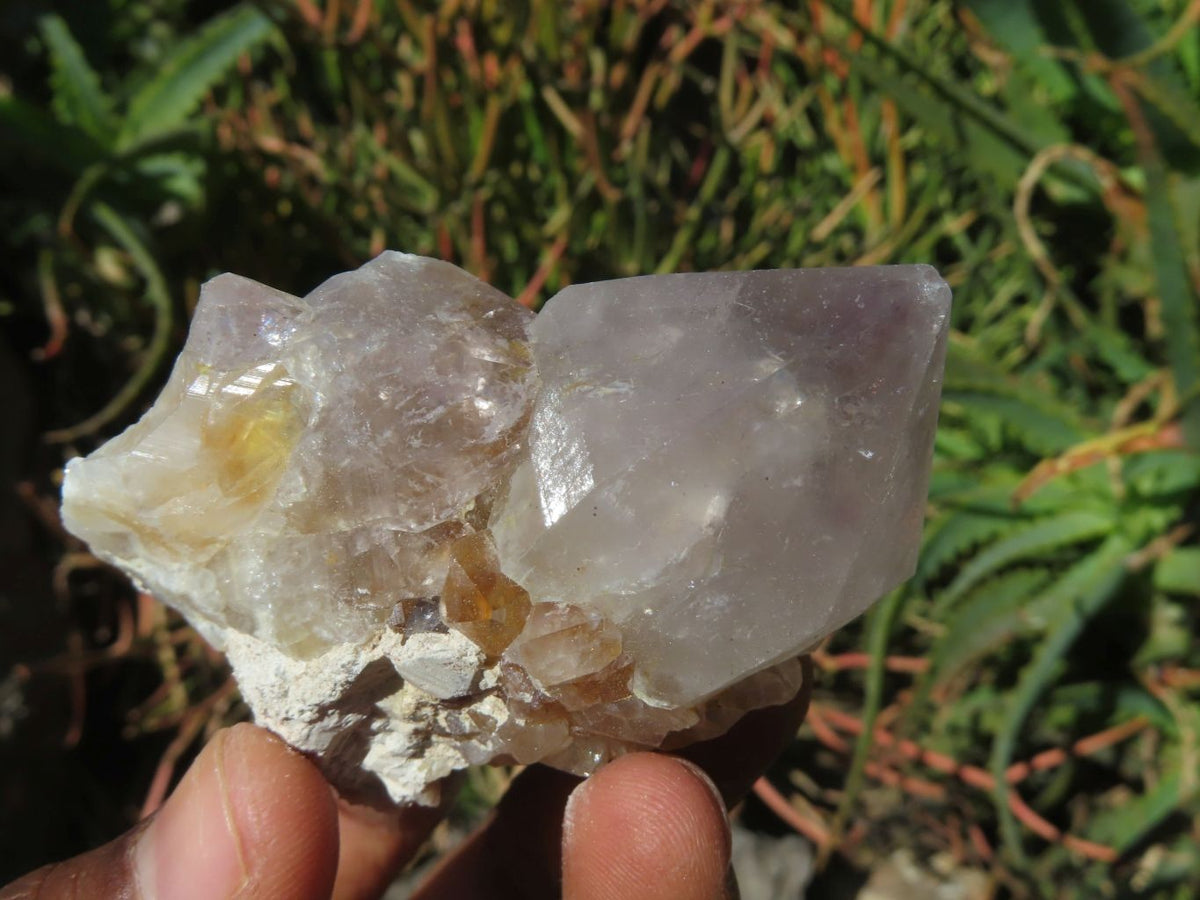 Natural Drusy Coated Unique Spirit Quartz In Cactus Flower & Fairy Finger Drusy Formations x 14 From Boekenhouthoek, South Africa - TopRock