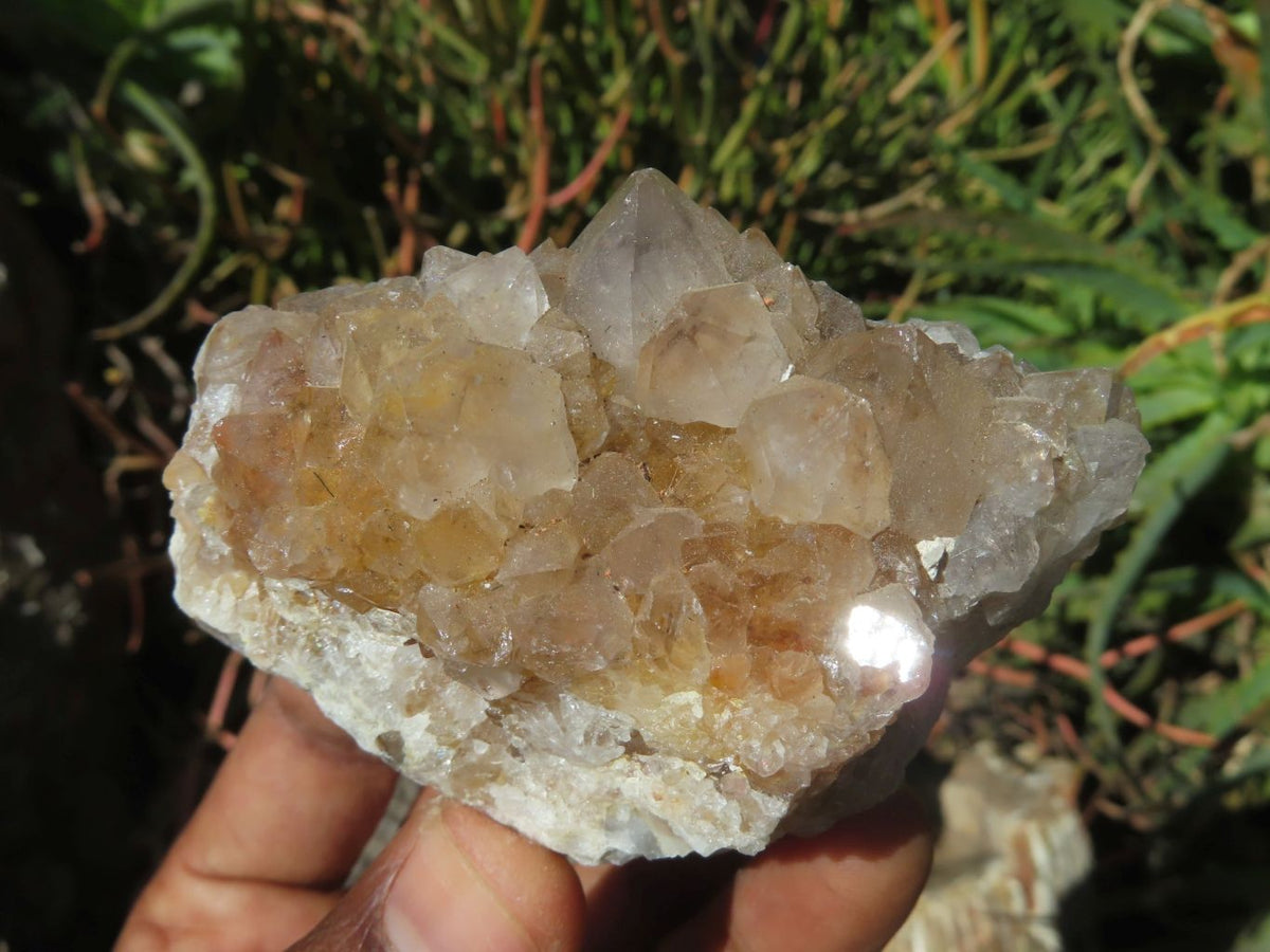 Natural Drusy Coated Unique Spirit Quartz In Cactus Flower & Fairy Finger Drusy Formations x 14 From Boekenhouthoek, South Africa - TopRock