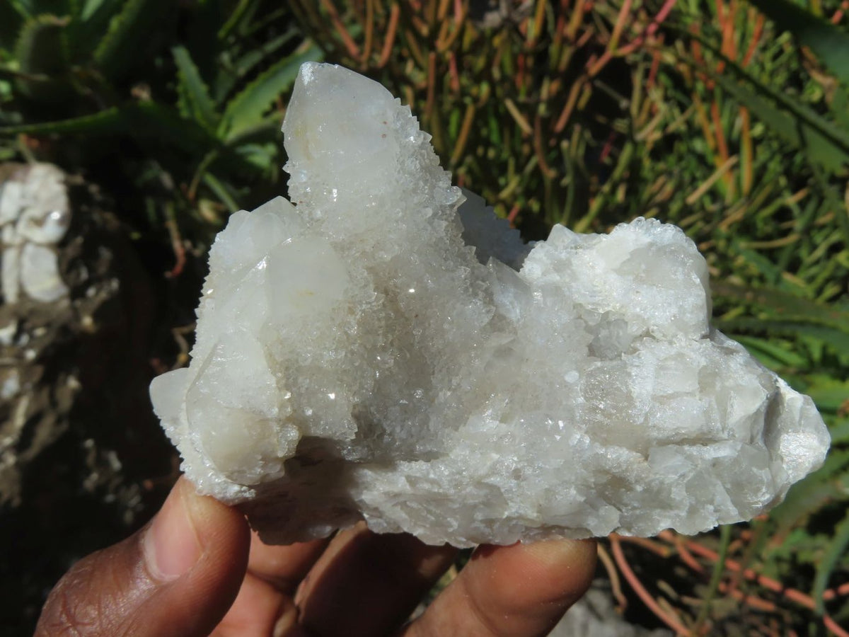 Natural Drusy Coated Unique Spirit Quartz In Cactus Flower & Fairy Finger Drusy Formations x 14 From Boekenhouthoek, South Africa - TopRock