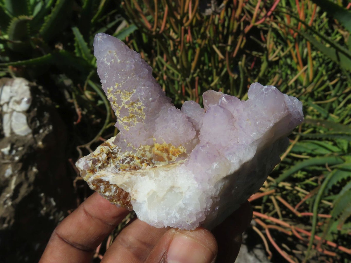 Natural Drusy Coated Unique Spirit Quartz In Cactus Flower & Fairy Finger Drusy Formations x 14 From Boekenhouthoek, South Africa - TopRock