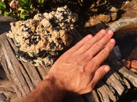 Natural Large Schorl Black Tourmaline Specimen x 1 From Erongo, Namibia - Toprock Gemstones and Minerals