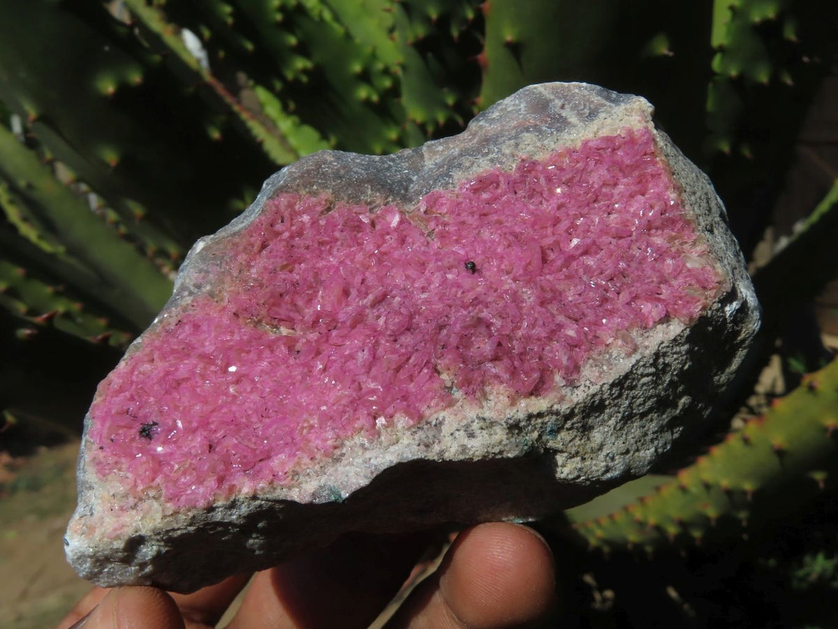 Natural Drusy Salrose Cobaltion Dolomite Specimens x 13 From Kakanda, Congo - TopRock