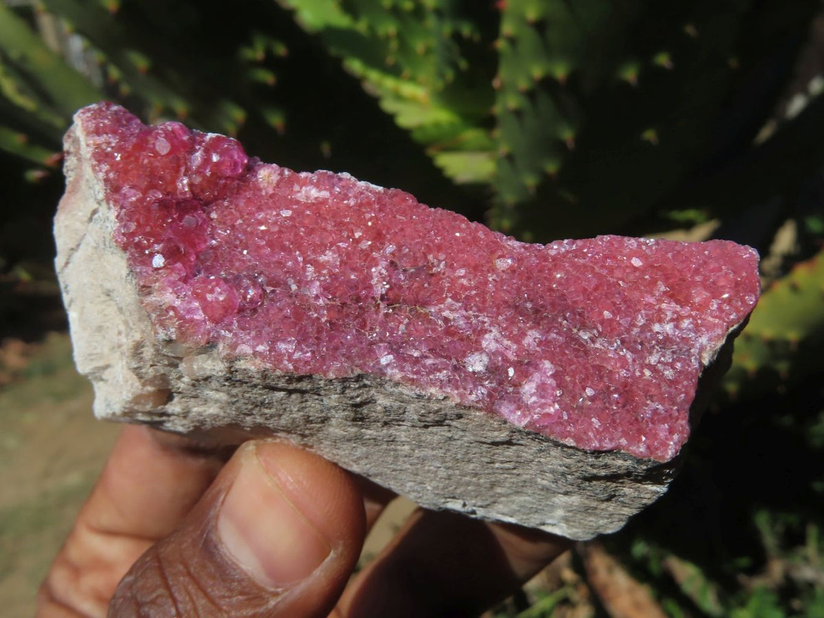 Natural Drusy Salrose Cobaltion Dolomite Specimens x 13 From Kakanda, Congo - TopRock