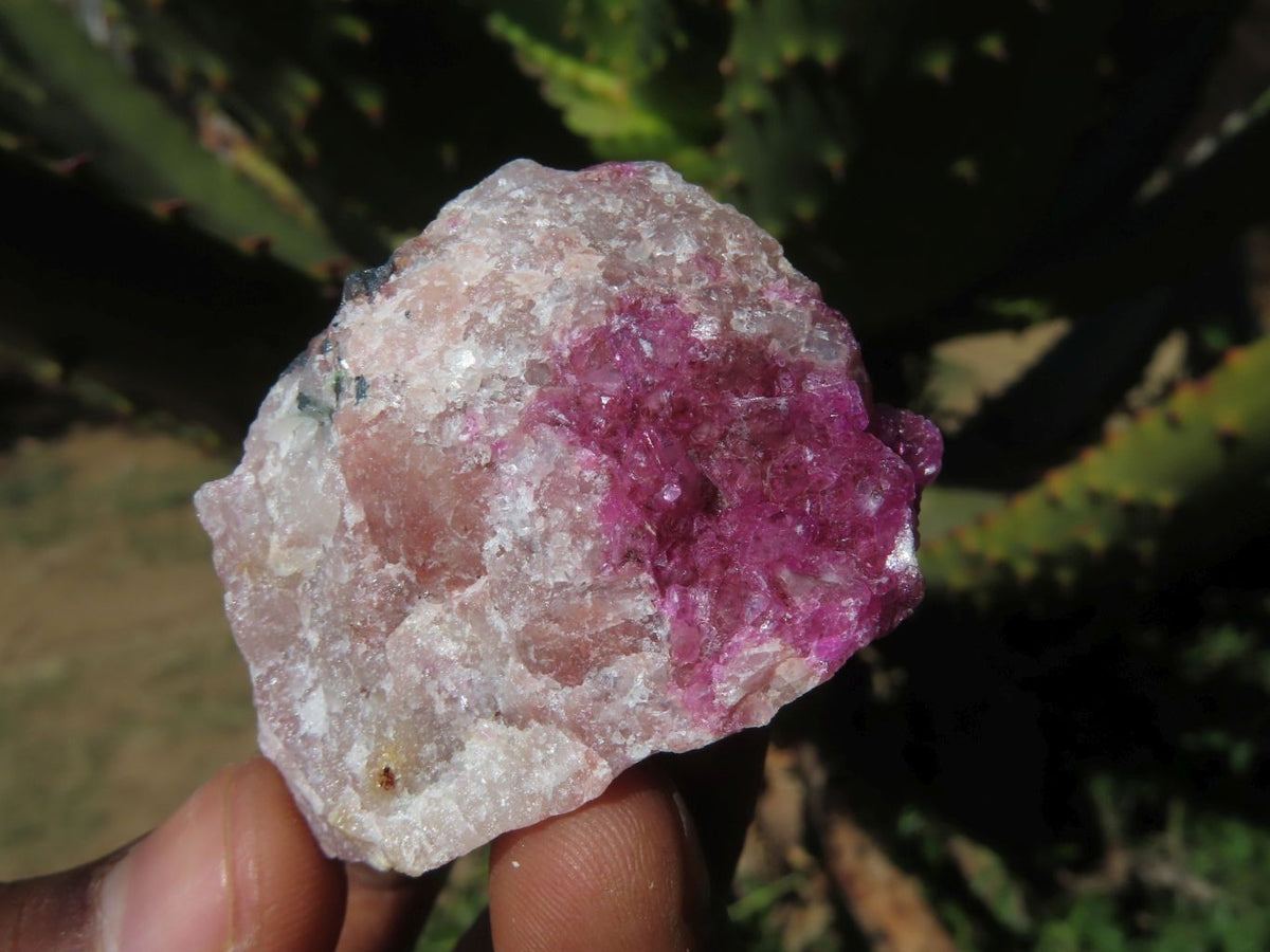Natural Drusy Salrose Cobaltion Dolomite Specimens x 13 From Kakanda, Congo - TopRock