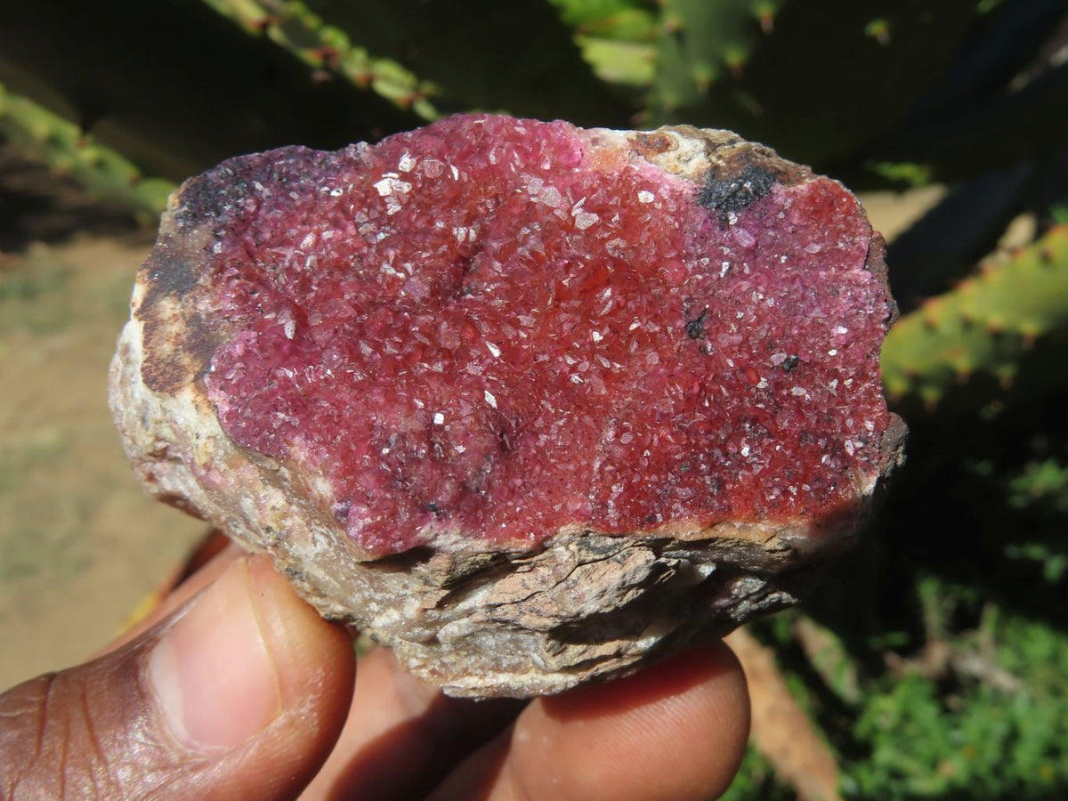 Natural Drusy Salrose Cobaltion Dolomite Specimens x 13 From Kakanda, Congo - TopRock