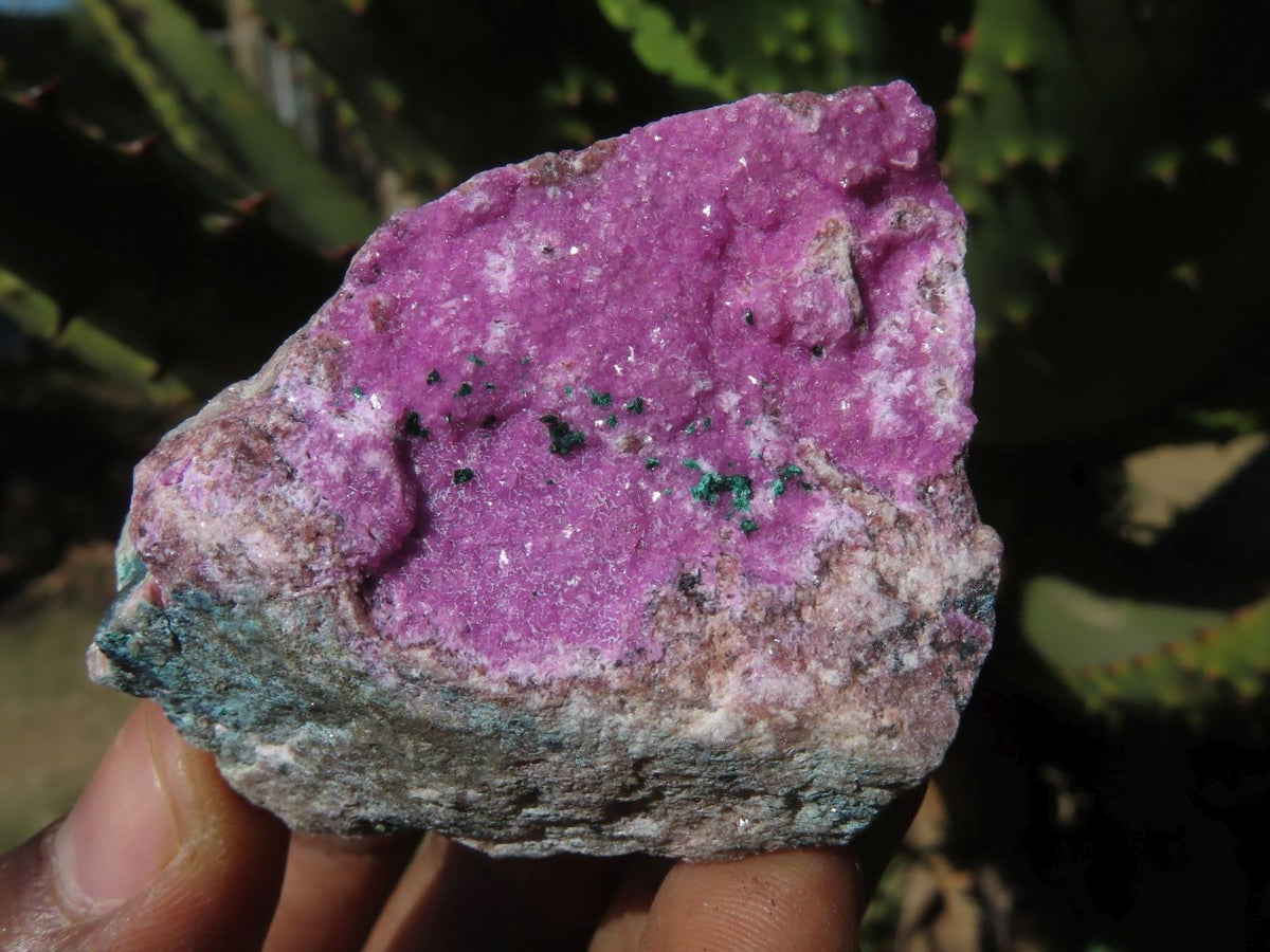 Natural Drusy Salrose Cobaltion Dolomite Specimens x 13 From Kakanda, Congo - TopRock