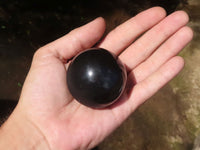 Polished Black Basalt Spheres  x 5 From Madagascar - TopRock