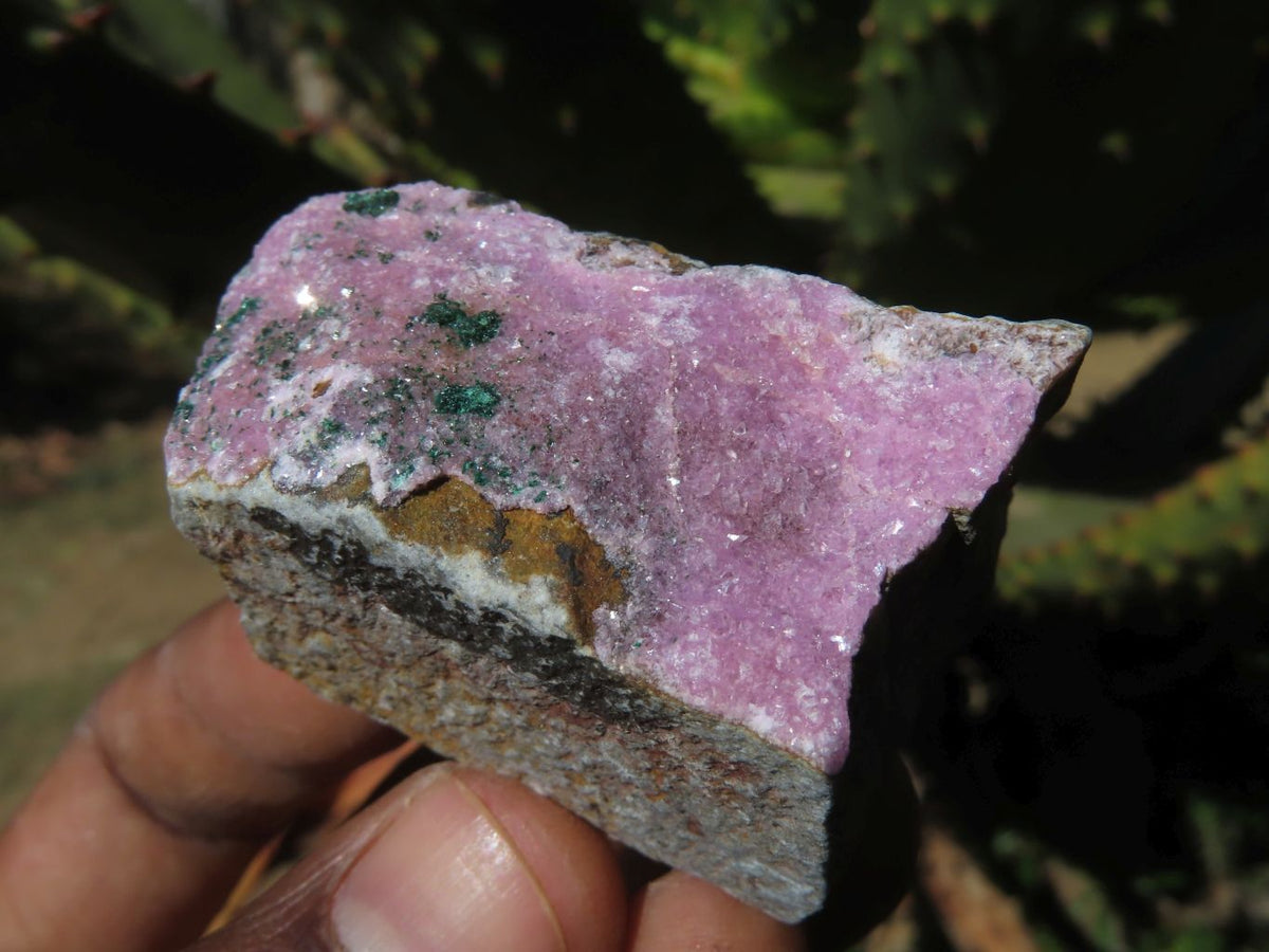 Natural Drusy Salrose Cobaltion Dolomite Specimens x 13 From Kakanda, Congo - TopRock