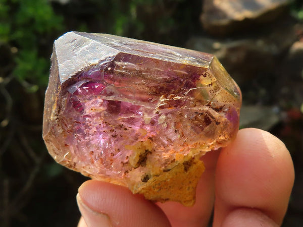 Natural Skeletal Smokey Amethyst Window Quartz Crystals  x 12 From Chiredzi, Zimbabwe - Toprock Gemstones and Minerals 
