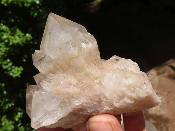 Natural White Phantom Smokey Quartz Clusters  x 6 From Luena, Congo - Toprock Gemstones and Minerals 