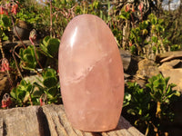 Polished Pink Rose Quartz Standing Free Forms x 3 From Antsirabe, Madagascar - Toprock Gemstones and Minerals