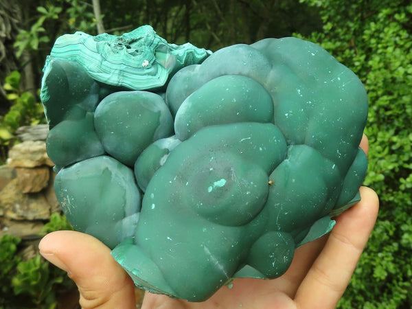 Natural Gorgeous Botryoidal Malachite Specimen  x 1 From Kolwezi, Congo - Toprock Gemstones and Minerals 