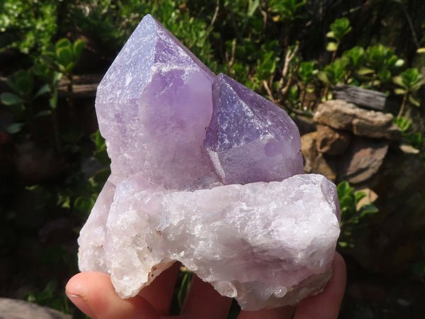 Natural Jacaranda Amethyst Clusters  x 3 From Zambia - Toprock Gemstones and Minerals 