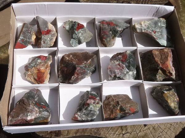 Natural Rough Bloodstone Seftonite Cobbed Specimens  x 13 From Swaziland - TopRock