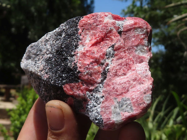 Natural Rough Red Rhodonite Cobbed Specimens  x 6 From Zimbabwe - TopRock